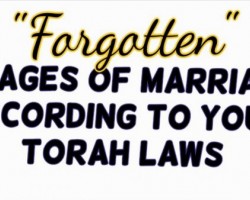 Forgotten Stages of Marriage