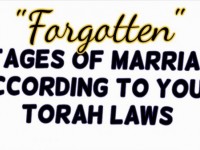 Forgotten Stages of Marriage